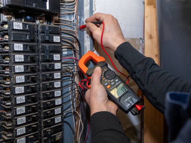 Best Licensed Electrician  in Minneota, MN